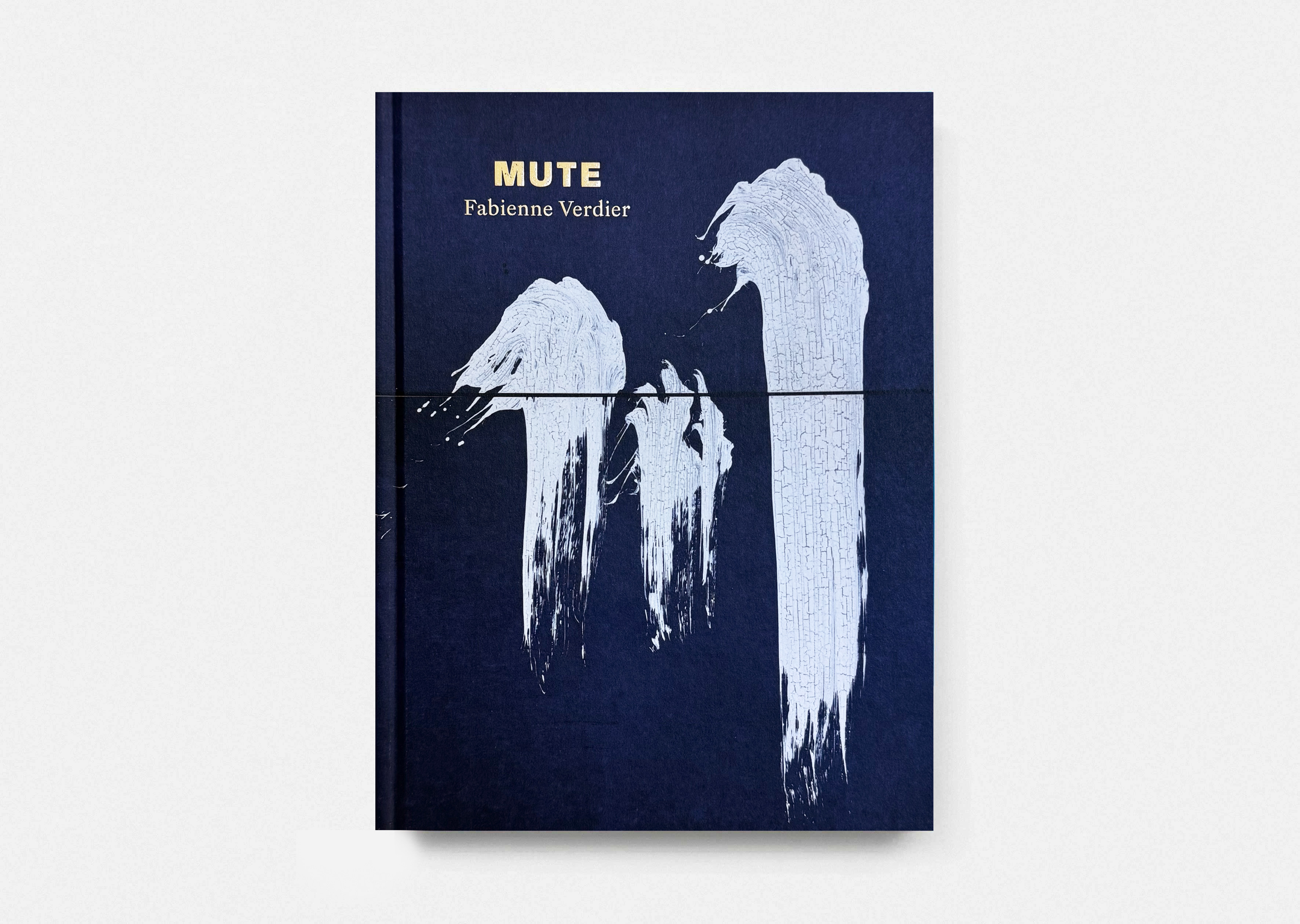 livre Mute Fabienne Verdier